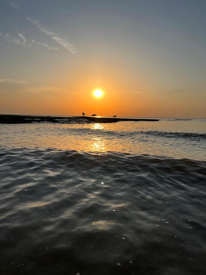 Bungalow De Strandjutter 8 Persons Middelkerke Bagian luar foto