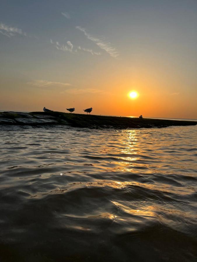 Bungalow De Strandjutter 8 Persons Middelkerke Bagian luar foto